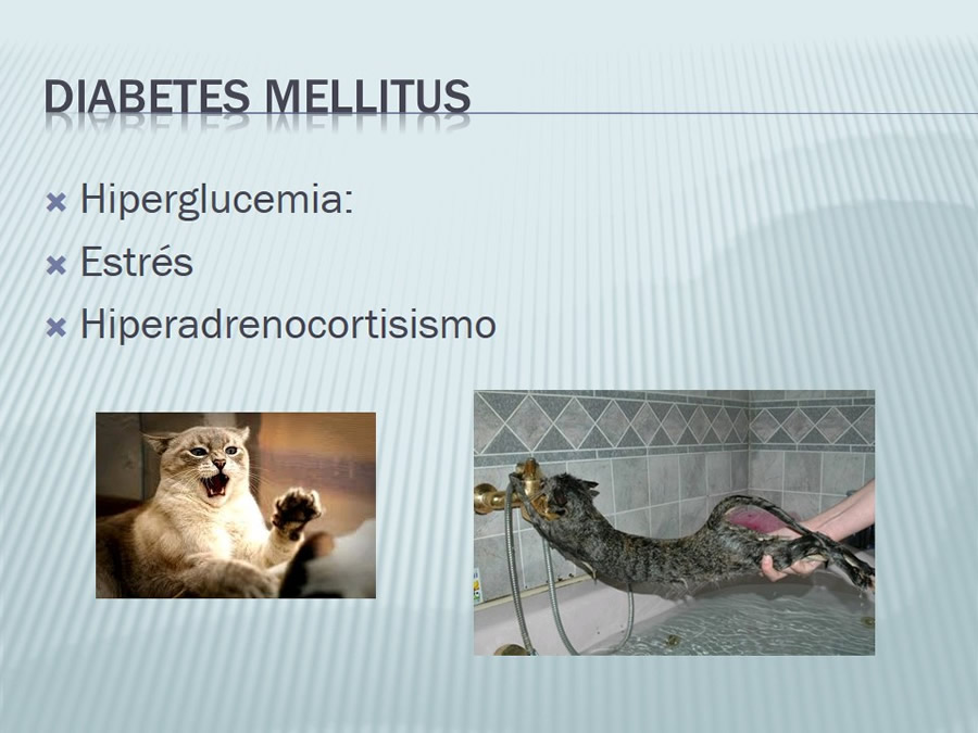 Diabetes Mellitus