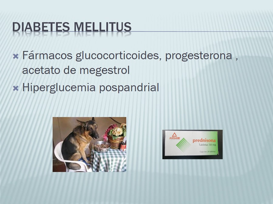 Diabetes Mellitus