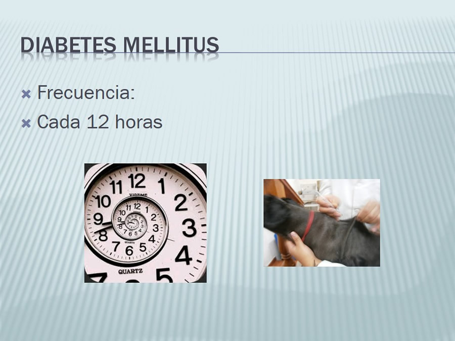 Diabetes Mellitus