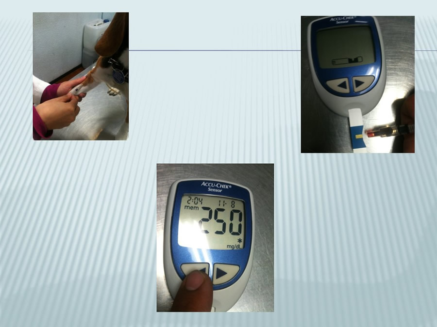 Diabetes Mellitus