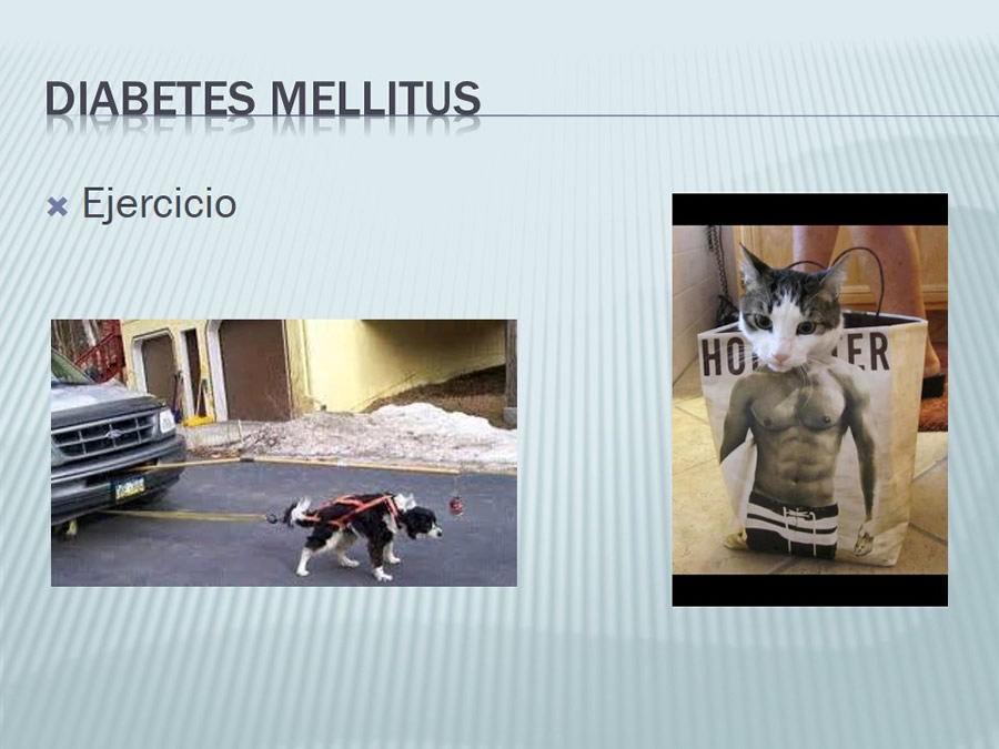 Diabetes Mellitus