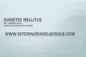 Diabetes Mellitus