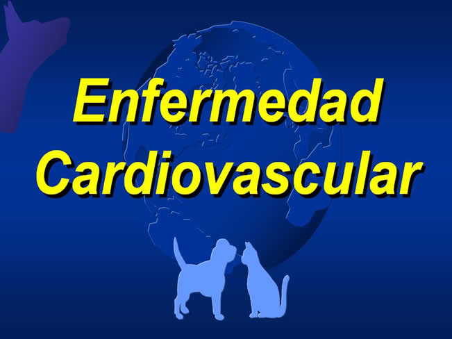 Enfermedad Cardiovascular