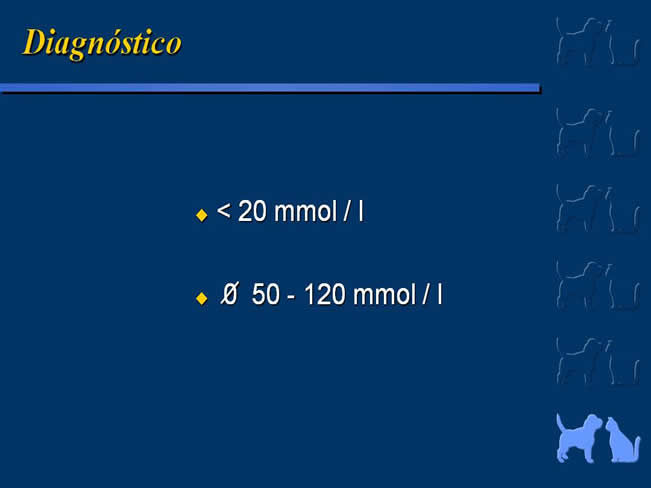 Enfermedad Cardiovascular