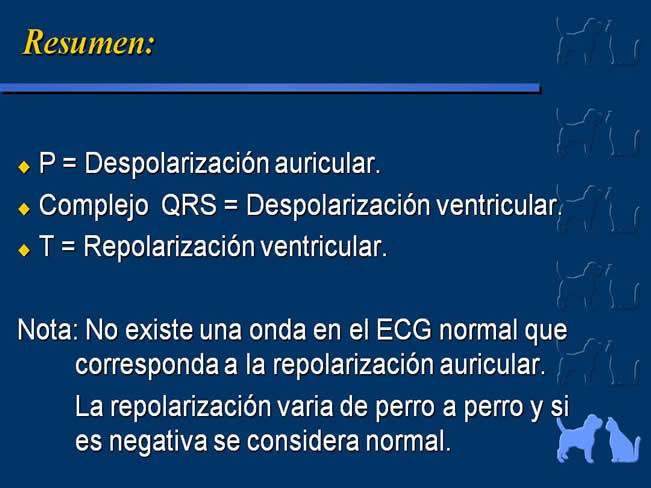 Enfermedad Cardiovascular