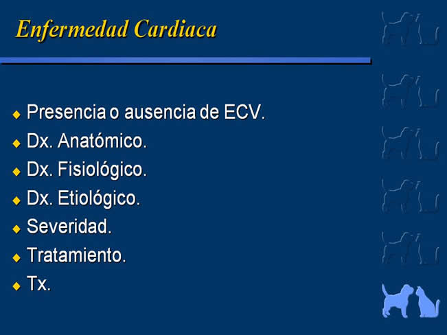 Enfermedad Cardiovascular