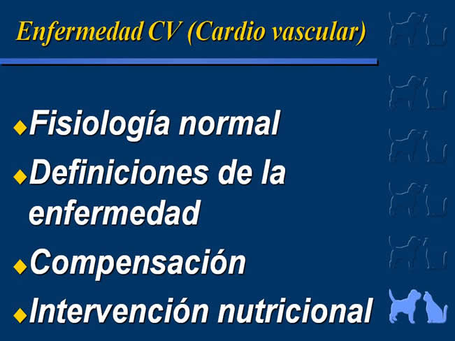 Enfermedad Cardiovascular