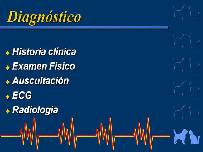 Enfermedad Cardiovascular