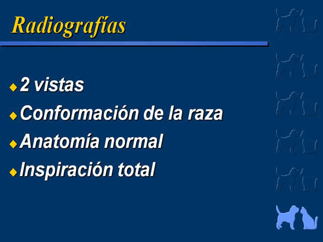 Enfermedad Cardiovascular