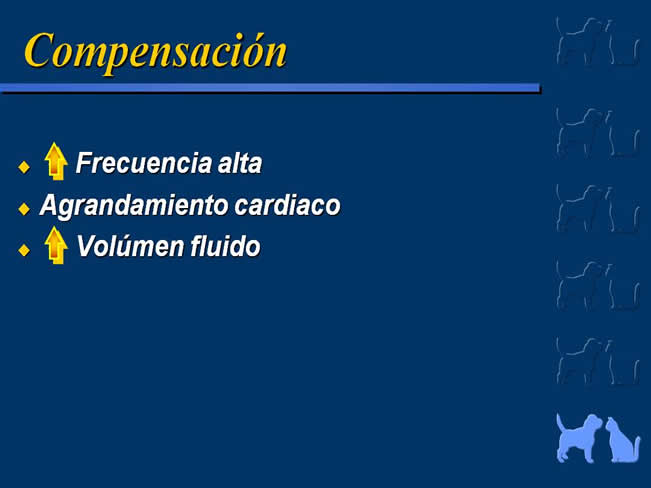 Enfermedad Cardiovascular