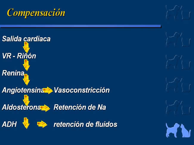 Enfermedad Cardiovascular