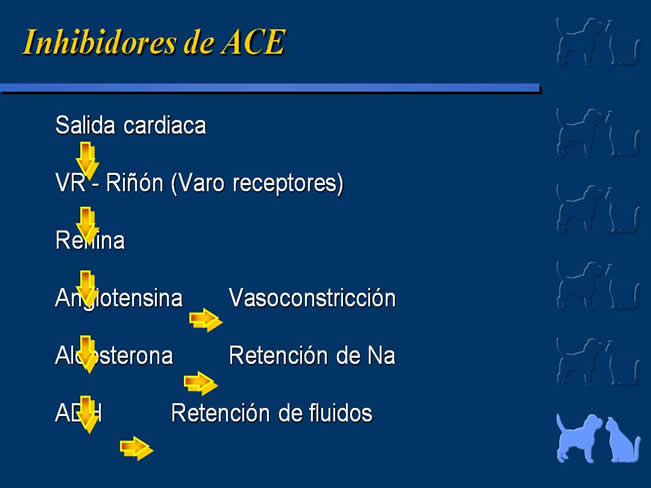 Enfermedad Cardiovascular