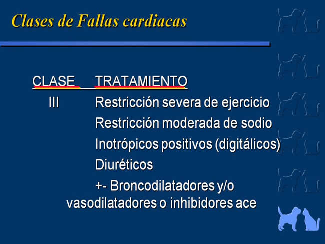 Enfermedad Cardiovascular