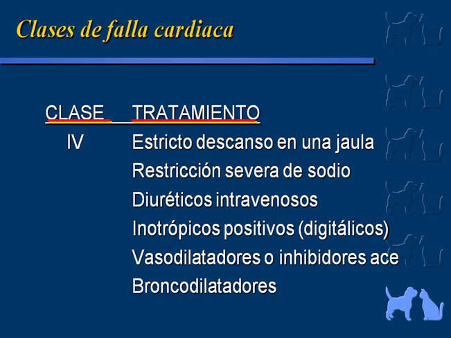 Enfermedad Cardiovascular