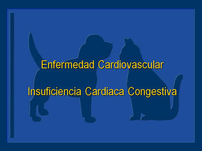 Enfermedad Cardiovascular