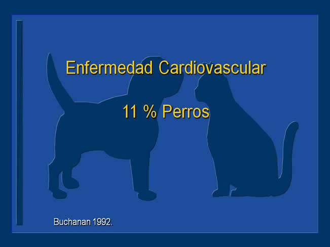 Enfermedad Cardiovascular