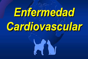 Enfermedad Cardiovascular