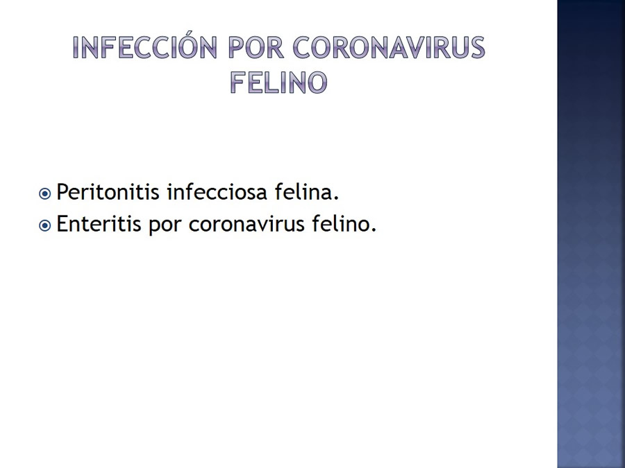 Enfermedades infecciosas en felinos