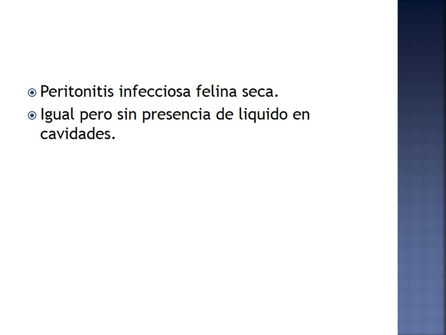 Enfermedades infecciosas en felinos