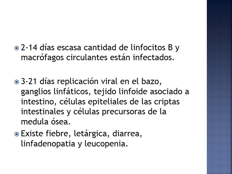 Enfermedades infecciosas en felinos