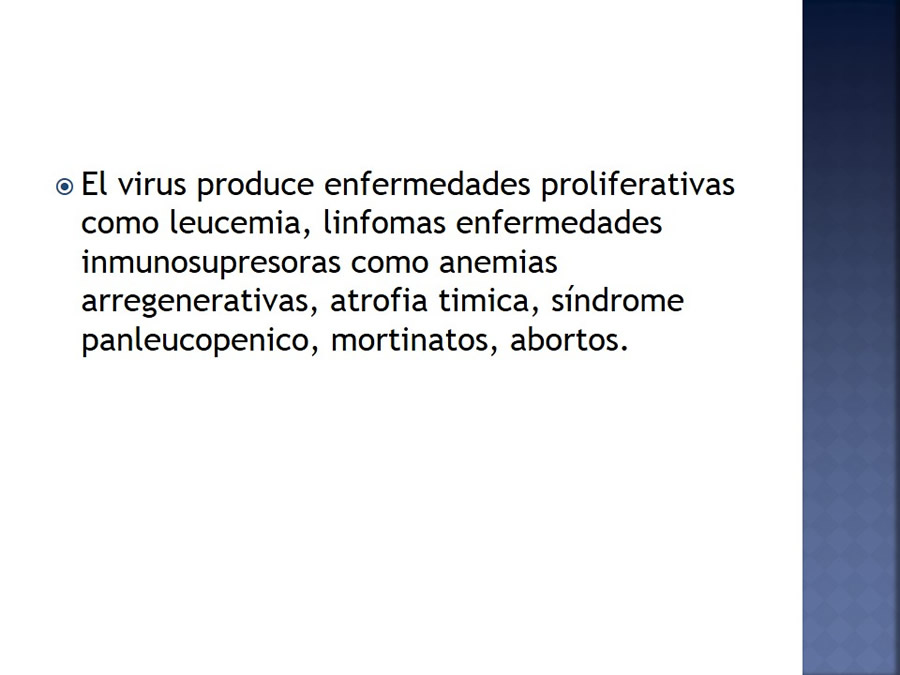 Enfermedades infecciosas en felinos