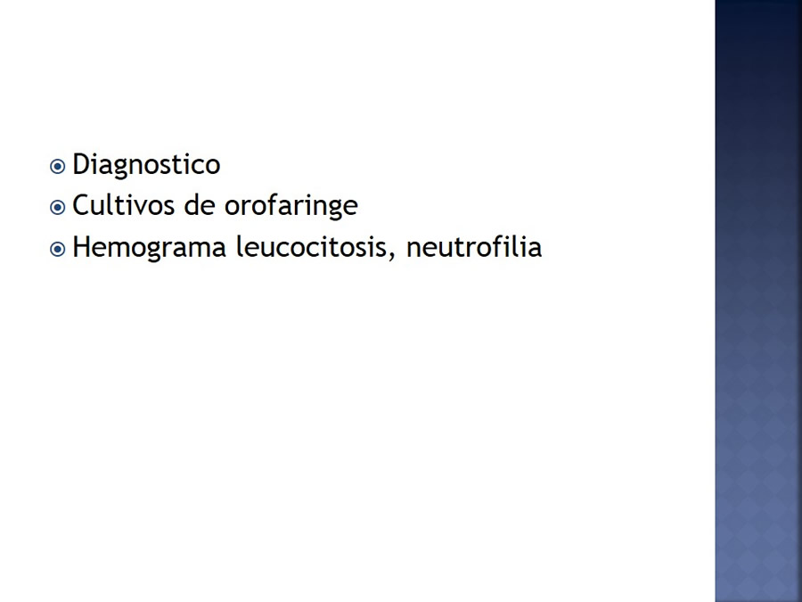 Enfermedades infecciosas en felinos