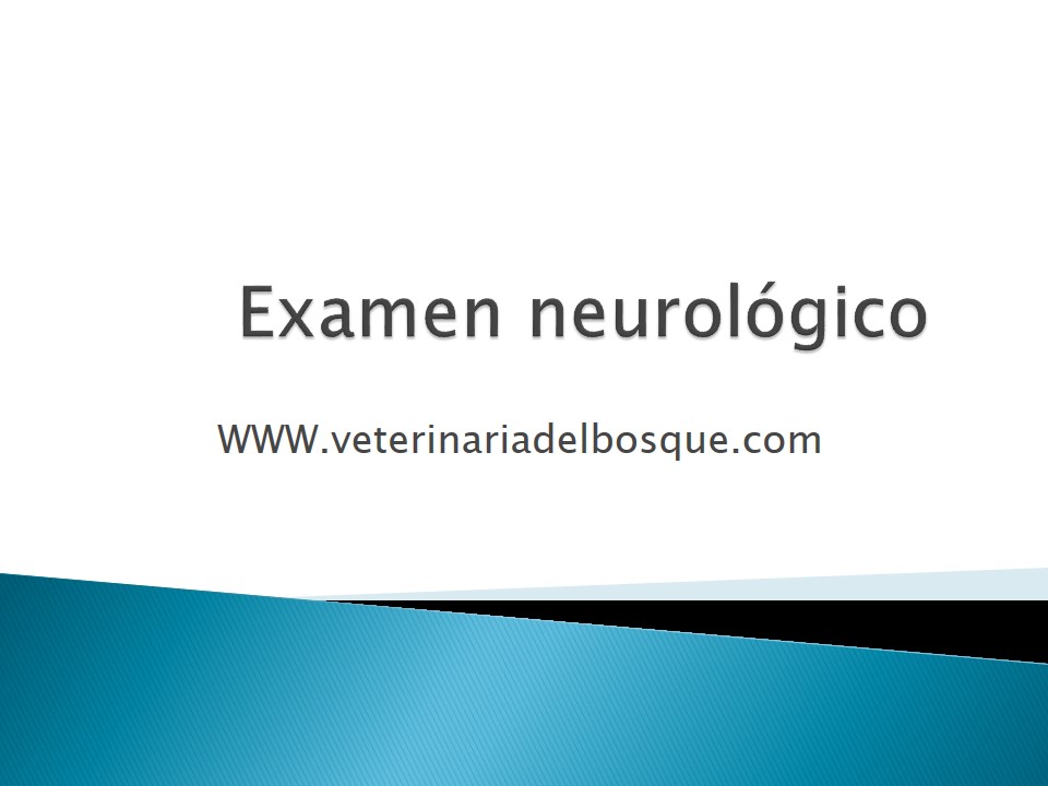 Examen neurolgico