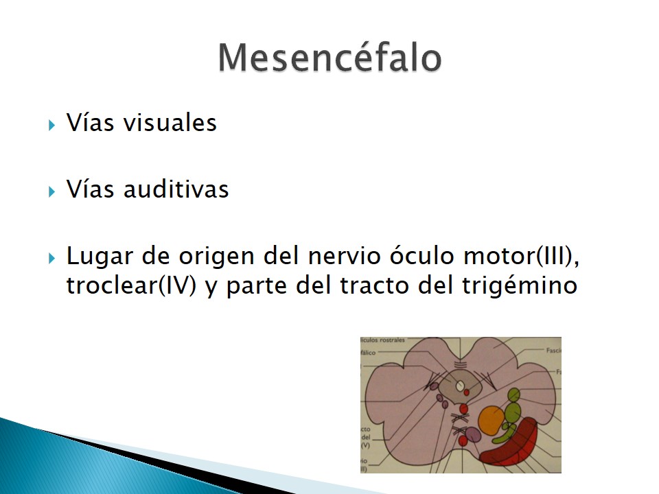 Examen neurolgico