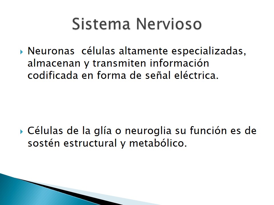 Examen neurolgico