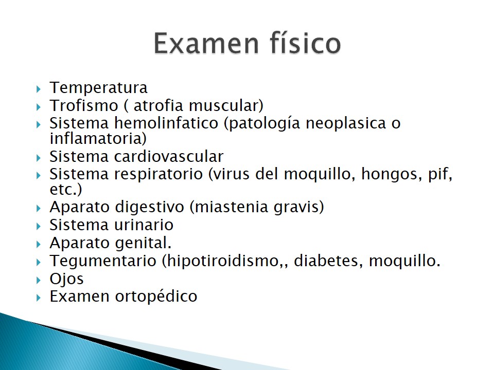 Examen neurolgico