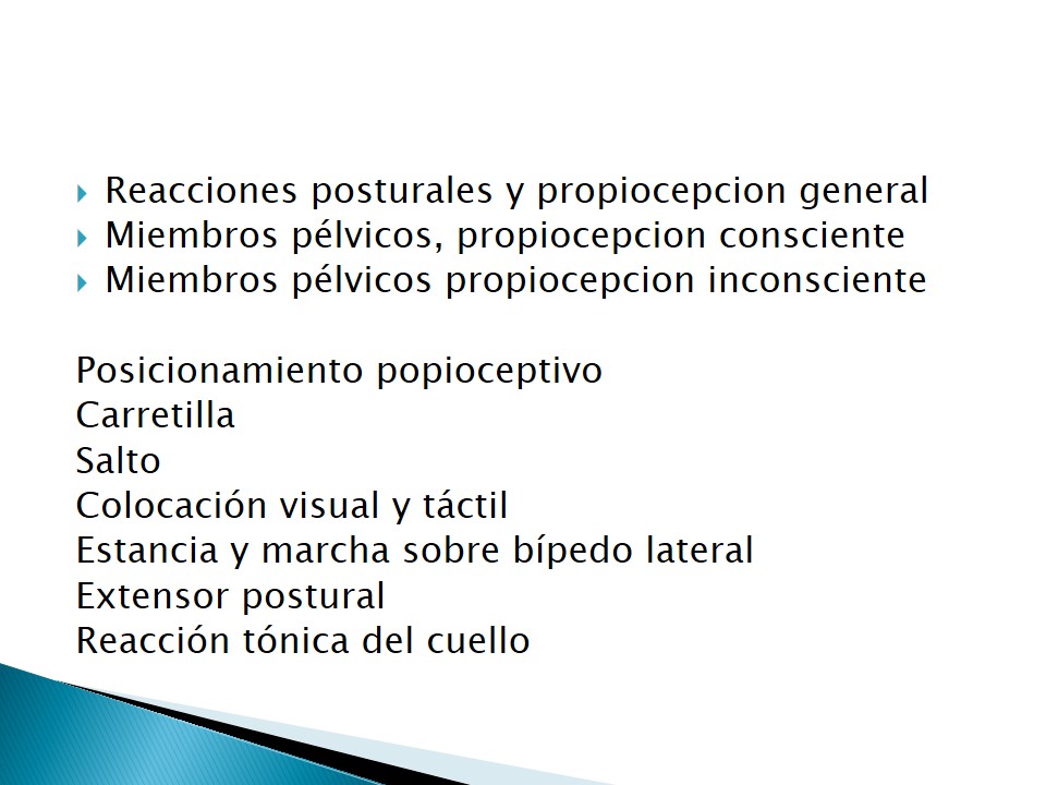 Examen neurolgico