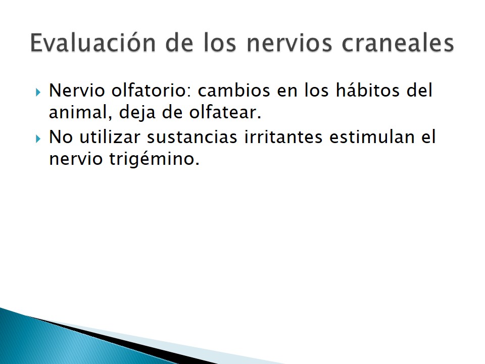 Examen neurolgico