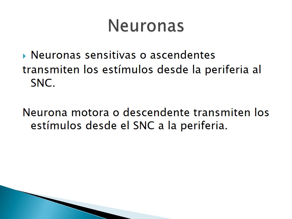 Examen neurolgico