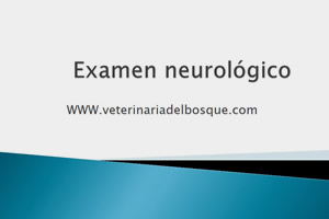 Examen neurolgico