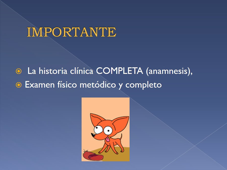 Examen ortopdico