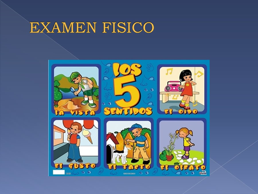 Examen ortopdico