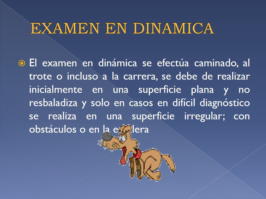 Examen ortopdico