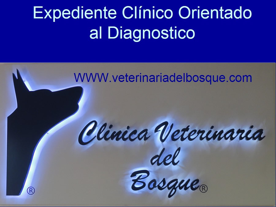 Expediente Clnico Orientado al Diagnostico