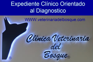 Expediente Clnico Orientado al Diagnostico