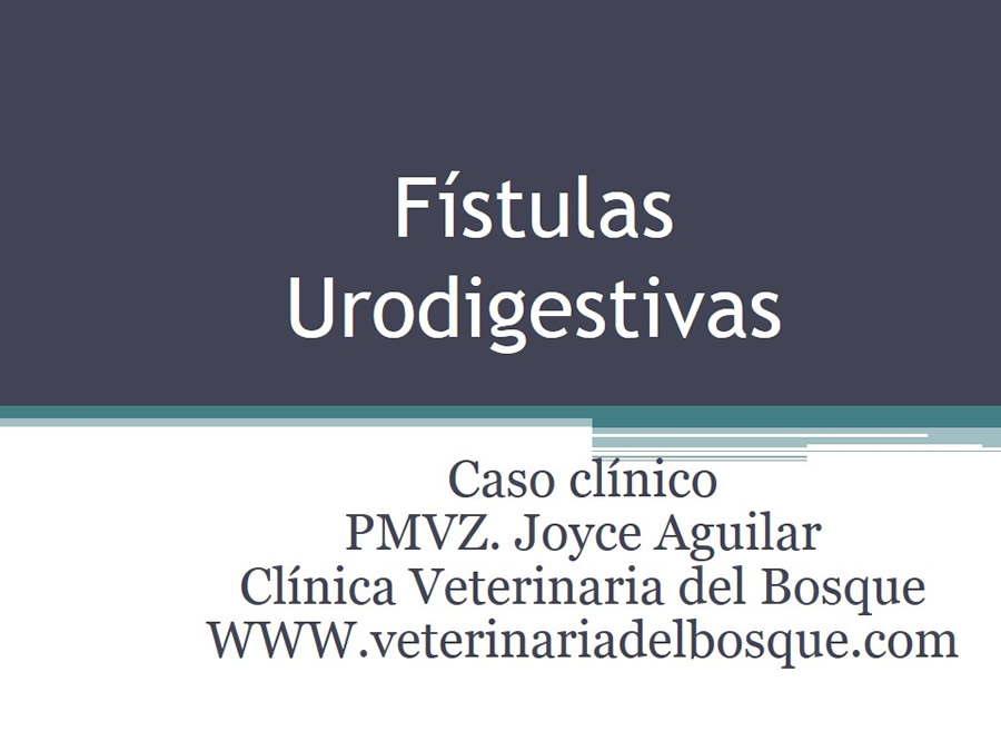 Fstulas Urodigestivas