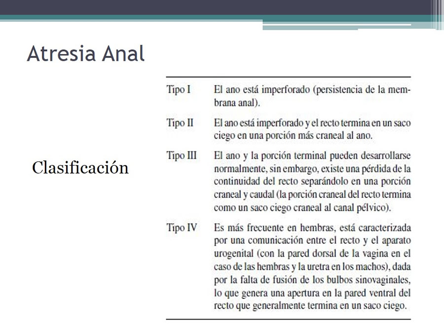 Fstulas Urodigestivas