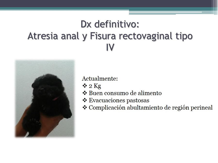 Fstulas Urodigestivas