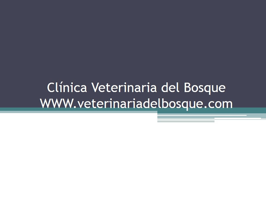 Fstulas Urodigestivas