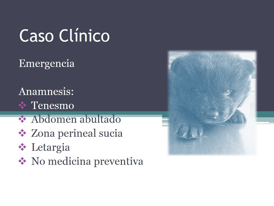 Fstulas Urodigestivas