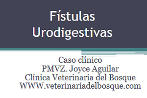 Fstulas Urodigestivas