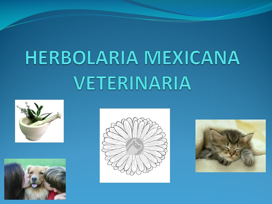 Herbolaria Mexicana Veterinaria