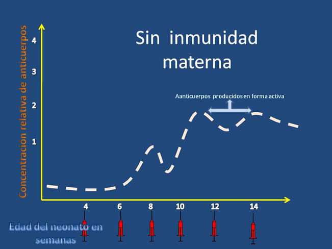 Inmunizacin en perros y gatos