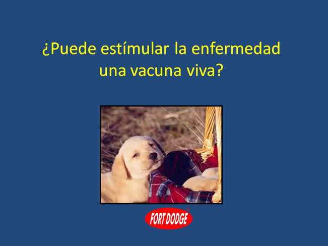 Inmunizacin en perros y gatos