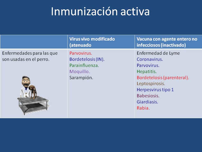 Inmunizacin en perros y gatos