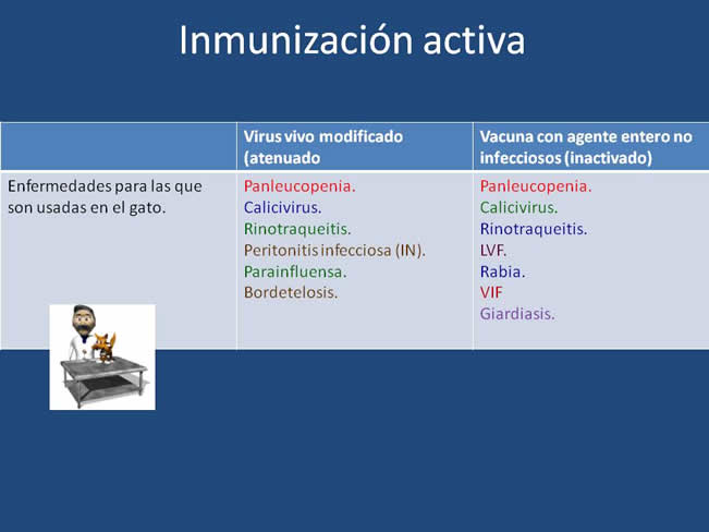 Inmunizacin en perros y gatos